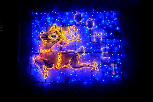 Reindeer Comet 2013
