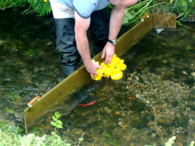 Marshalled for the Start