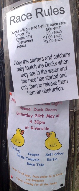 Duck Race - Rules Duck Race - Rules